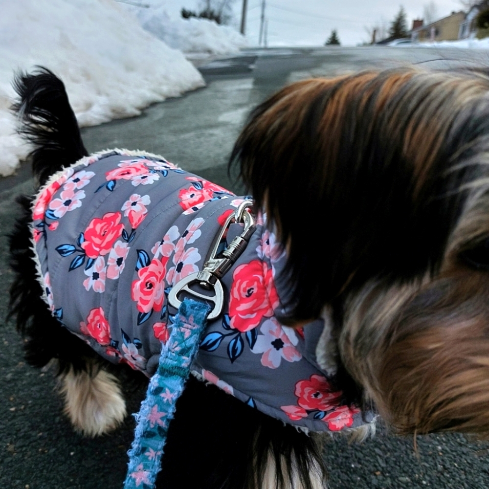 2 Floral Gray & Pink Dog Winter Jackets